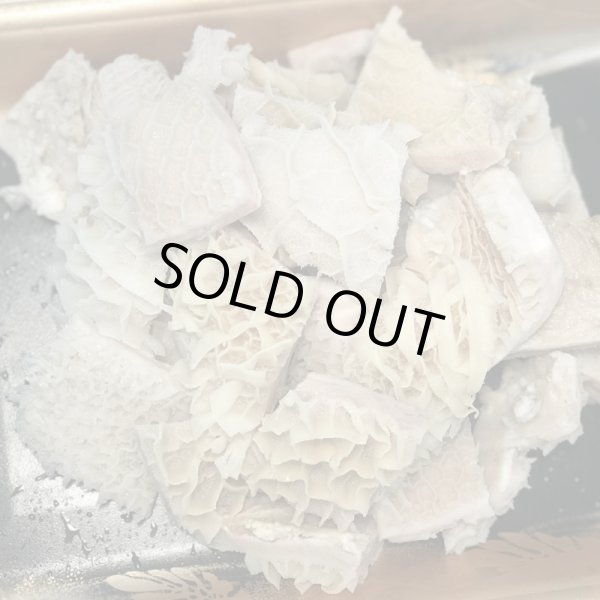 画像1: 国産牛のトリッパ(ハチノス)[400g] (1)