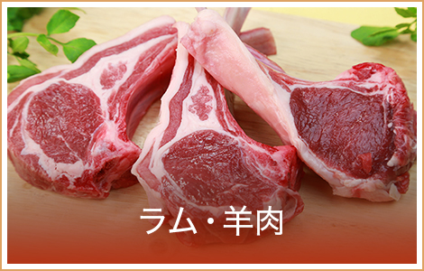 ラム肉・馬刺し・その他