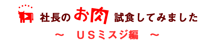 USミスジ編