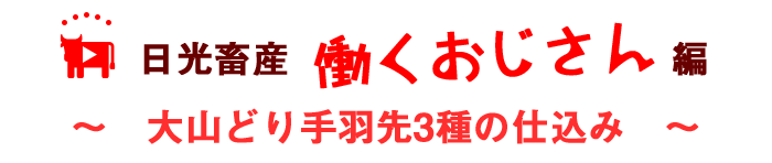 働くおじさんシリーズ②大山どり手羽先3種